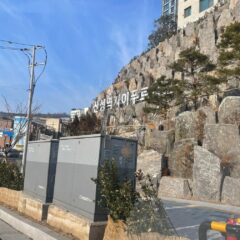 면허 따고 바로 연수 받았어요