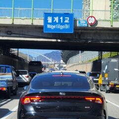 도로 시험에 실패했어요