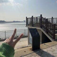 혼잡한 길도 편하게!