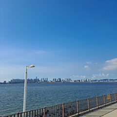 동탄 산길 운전 완전 무서웠어요