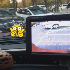 가족과 여행 갈 때 운전 연습